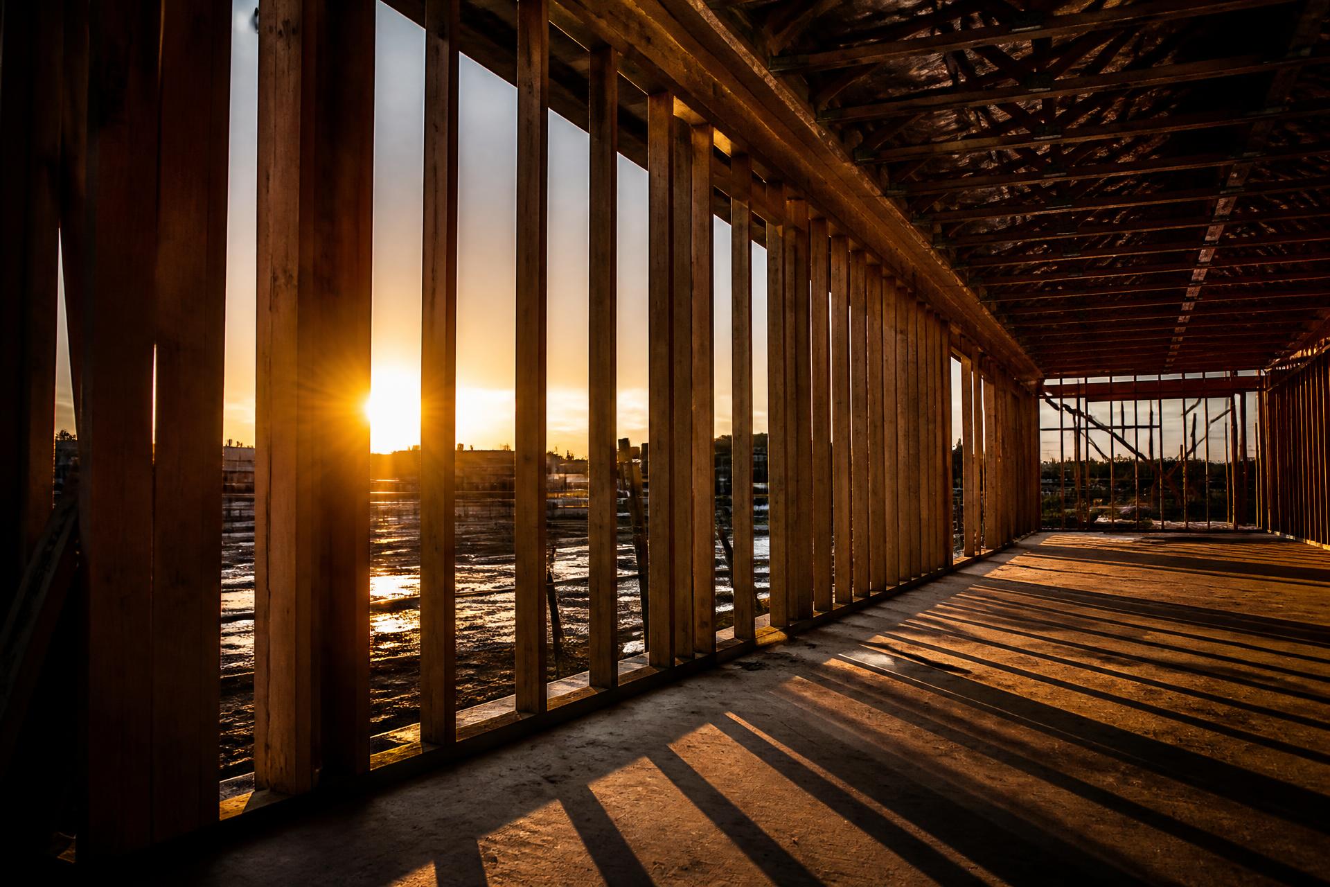 Commercial timber framing at golden hour on an Australian construction site